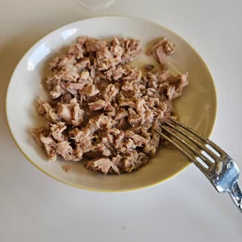 Fide Ton Balığı Bütün Parça Yerine Dağılmış Çıktı, Hayal Kırıklığı Yaşadım