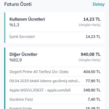 Apple Harcamaları Faturamı Yükseltiyor Çözüm Bulamıyorum