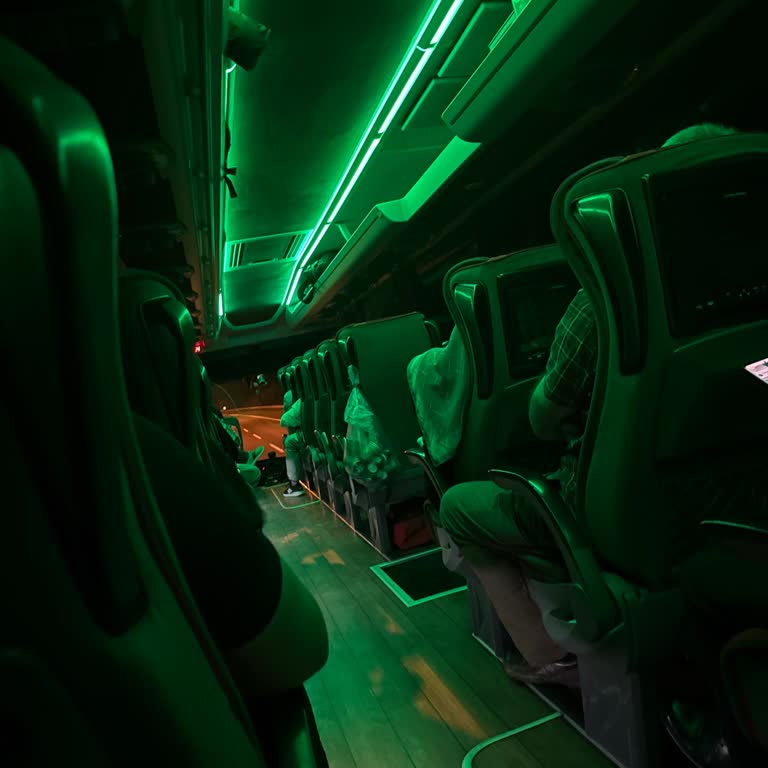 Gece Yolculuğunda Rahatsız Edici Yeşil Lamba Ve İlgisiz Muavinler