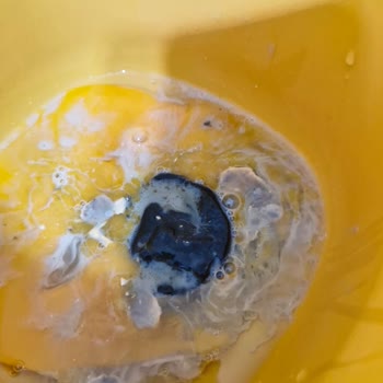 Yumurtadan Çürük Civciv Ve Kötü Koku Şoku!