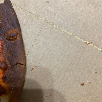Yanık Ve Eksik Malzemeli Pizza Hayal Kırıklığı Yaşattı