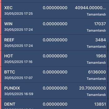 Hesabımdaki Varlıklar İzinsiz Transfer Edildi, Güvenlikten Endişeliyim