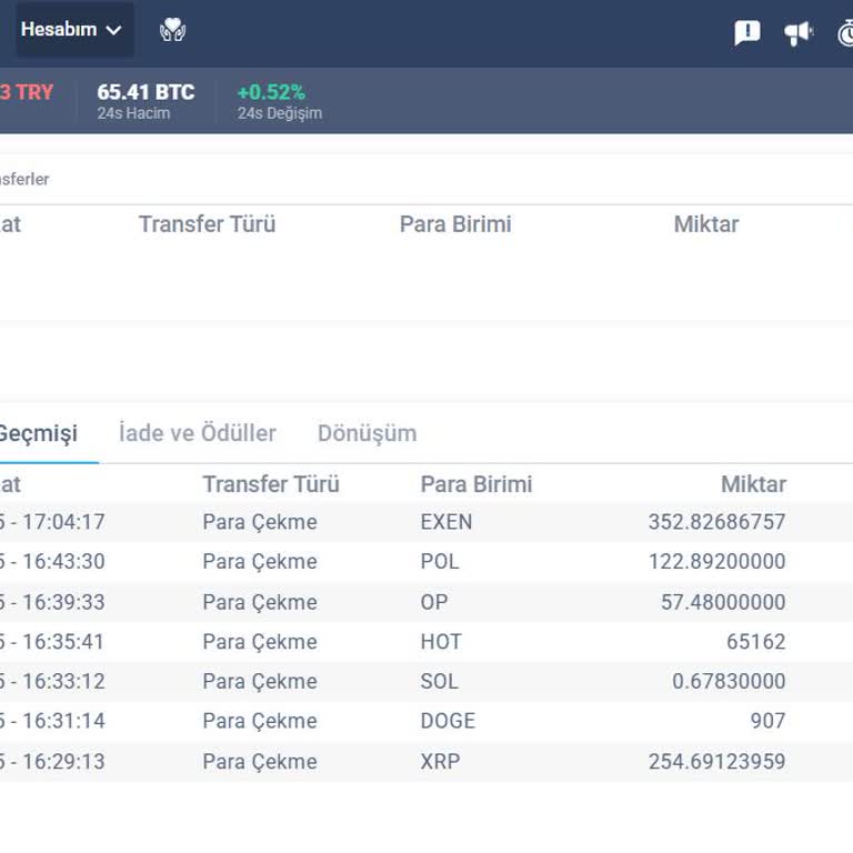 İzinsiz Para Çekimi Ve Hesap Bakiyesinin Sıfırlanması Sorunu
