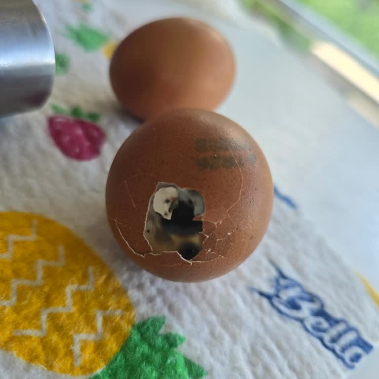 Raya Organik Yumurtaların İçi Simsiyah Çıktı!