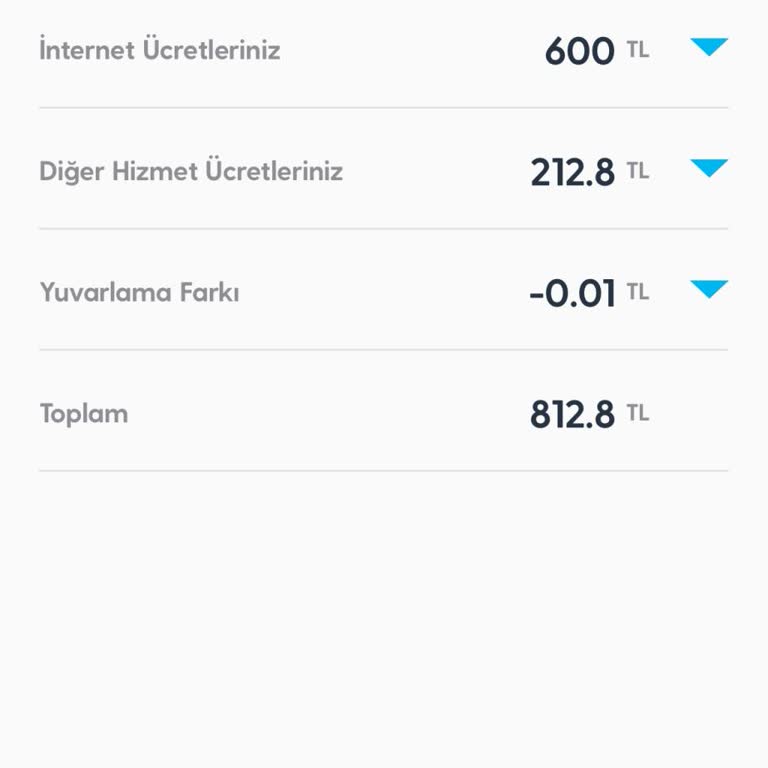 Fatura Sonrası İnternet Hızının Düşürülmesi Ve Ek Ücret Talebi