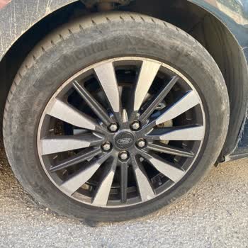 Bir Ayı Geçen Bekleyiş: Continental'dan Cevap Yok!