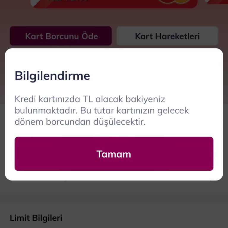 Borcu Olmayan Kredi Kartımın Kısıtlaması Kaldırılmıyor, Müşteri Hizmetleri Çözüm Sunmuyor