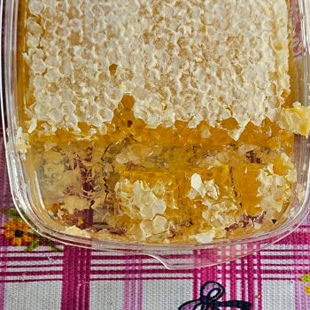 Bal Kavanozunda Yabancı Madde Şikayeti