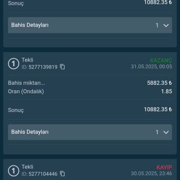 Vizebet452.com'da Kazanç Çekiminde Sürekli Sorun Ve Oyalama
