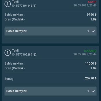 Vizebet452.com'da Kazanç Çekiminde Sürekli Sorun Ve Oyalama