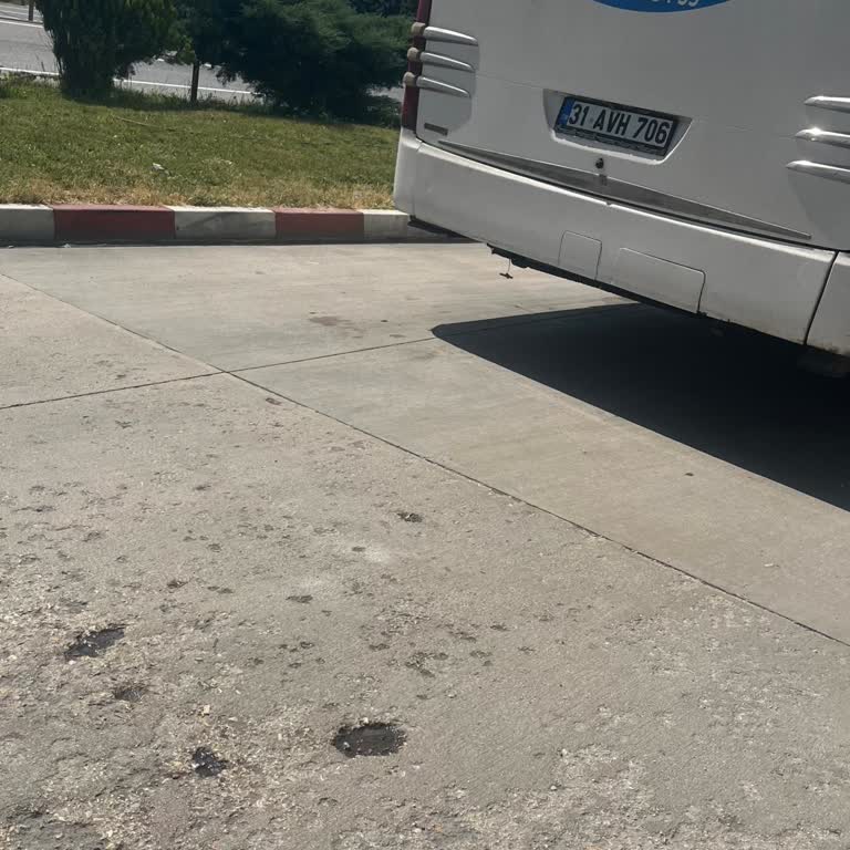 Yolculuk Sırasında Şoförün Dikkatsiz Ve Sorumsuz Davranışları