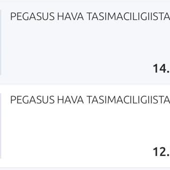 Pegasus Bilet Değişikliğinde Fazla Ödeme Mağduriyeti