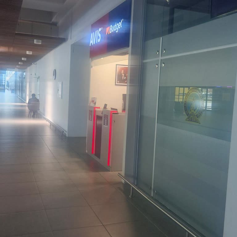 Ich blieb nach Avis-Unfall stundenlang im Regen, Ersatzwagen kam nie!