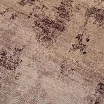 Halı Yıkama Sonrası Renk Değişimi Ve Kötü Koku Sorunu