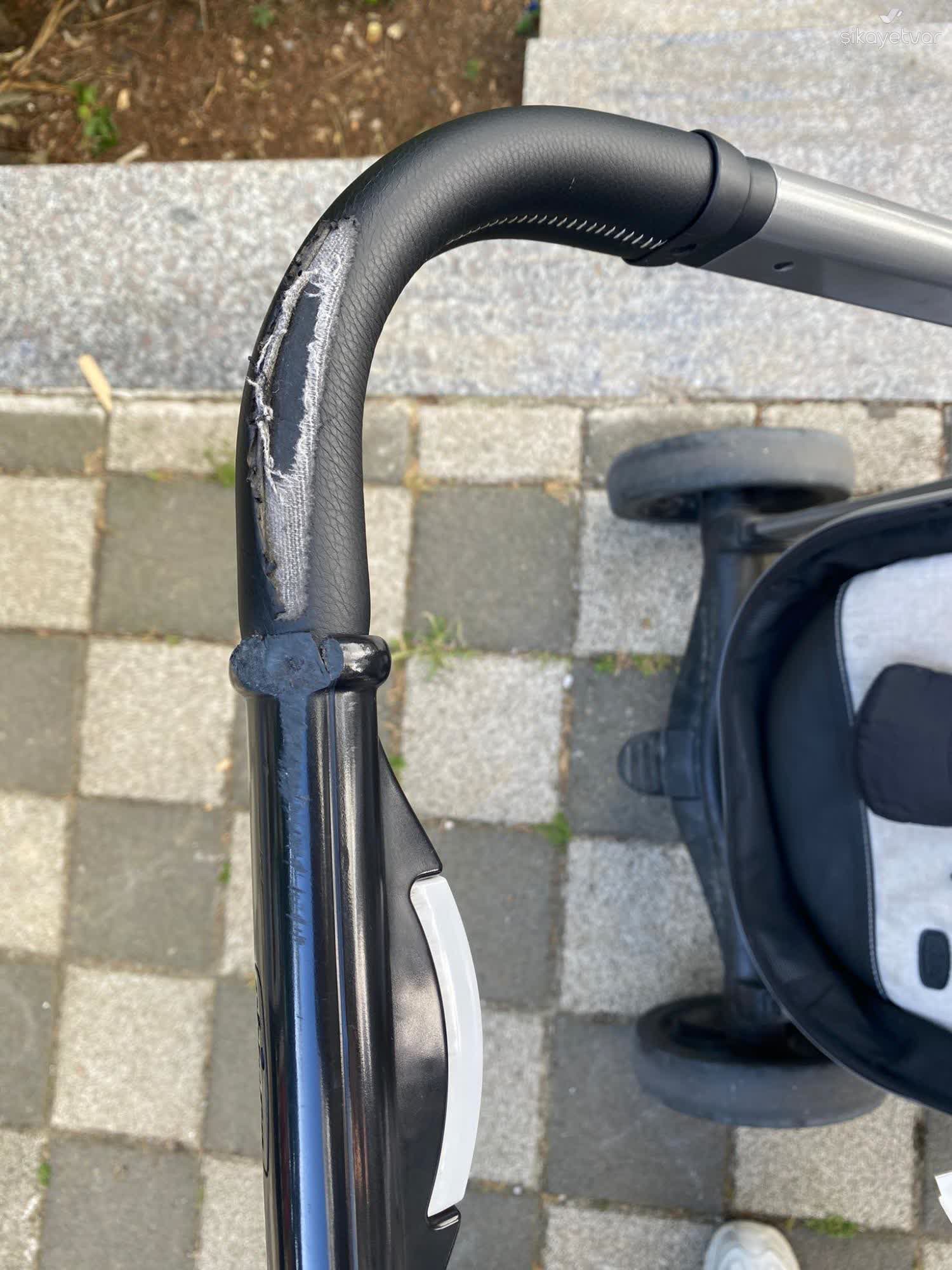 Pegasus zerstrt meinen Kinderwagen beim Flug - Xolvie