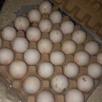 A101'den Aldığım Yumurtalar Küflü Ve Kötü Kokulu Çıktı