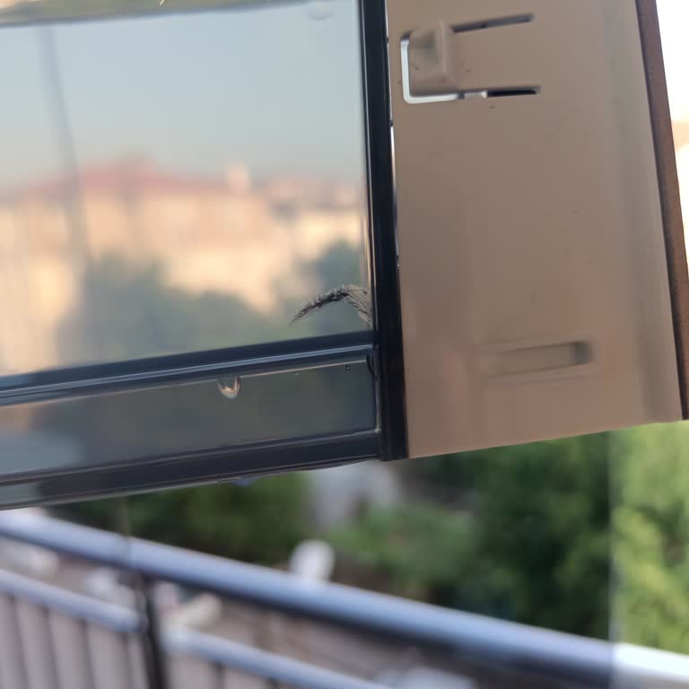 Philips Lattego Su Haznesinde Çatlak Var