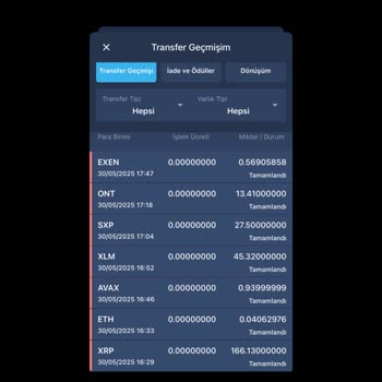 Bitexen Hesabımdaki Bakiyem Bilgim Dışında Sıfırlandı Ve İzinsiz Transfer Yapıldı