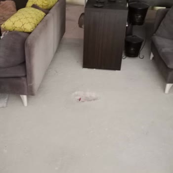 Bir Konut Sitesinde Eksiklikler ve İlgisizlik Hakkında Şikayet