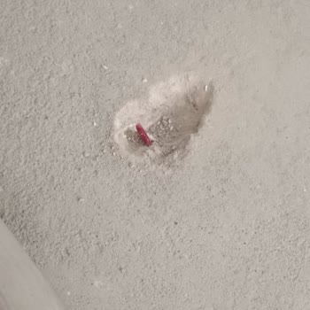 Bir Konut Sitesinde Eksiklikler ve İlgisizlik Hakkında Şikayet