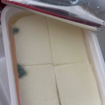 Küflü Peynir Ve Yetersiz Müşteri Hizmeti