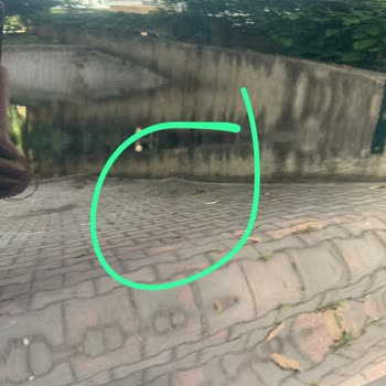 I Found Dents on My New Byd Otto 3 and Now the Reverse Parking Sensor Is Also Failing