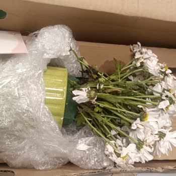 Teslim Edilen Çiçeklerin Kötü Durumu Ve Hayal Kırıklığı