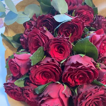 Solmuş Ve Çirkin Çiçeklerle Hayal Kırıklığı Yaşadım