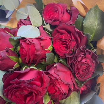 Solmuş Ve Çirkin Çiçeklerle Hayal Kırıklığı Yaşadım