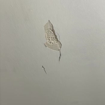 Montaj Sırasında Oluşan Ev Hasarı Ve Mağaza İlgisizliği