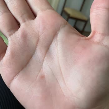 Kaliteli Diye Aldığım Çelik Et Pensi Kırıldı, Mağdur Oldum