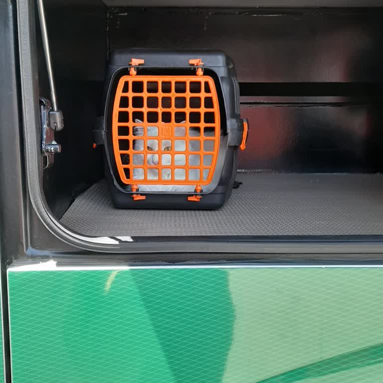 Can Dersim Tuncelililer Seyahat Evcil Hayvanımın Taşıma Kuralları Hakkında Mağduriyet Yaşadım