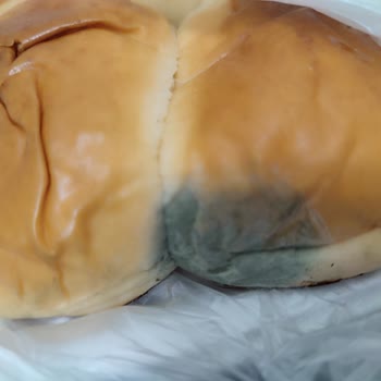 Küflü Ürün Ve Eksik İade Mağduriyeti