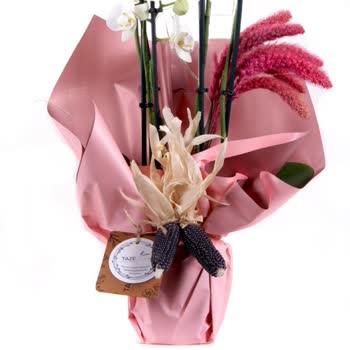 Sipariş Ettiğim Çiçek Yanlış Ve Özensiz Geldi Müşteri Hizmetleri Sorunumu Çözmedi