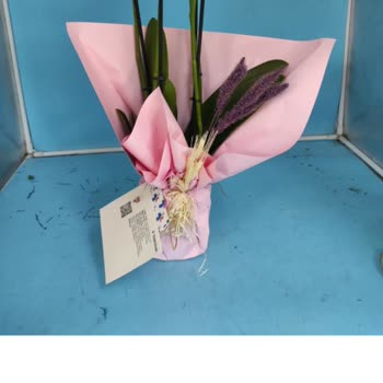 Sipariş Ettiğim Çiçek Yanlış Ve Özensiz Geldi Müşteri Hizmetleri Sorunumu Çözmedi