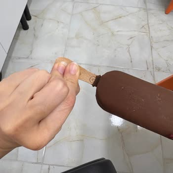 Dondurmadan Çıkan Tahta Parçası Şok Etti