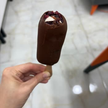 Dondurmadan Çıkan Tahta Parçası Şok Etti