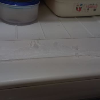 Ich kämpfe mit Bosch Kühlschrankkühlproblemen trotz Garantie