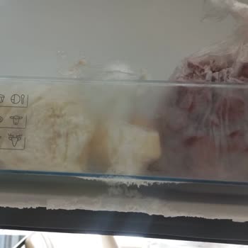 Ich kämpfe mit Bosch Kühlschrankkühlproblemen trotz Garantie