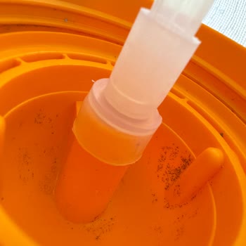 Wee Baby Sulukta Kısa Sürede Koku Ve Siyah Lekeler Oluşuyor