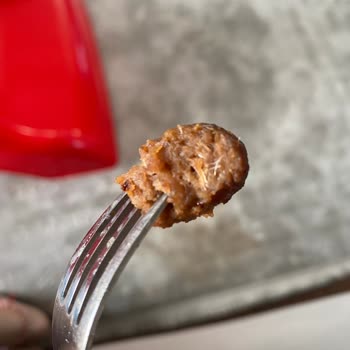 Köftede Yabancı Maddeyle Karşılaştım, Çocuğumun Sağlığı Tehlikeye Girdi