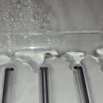 Firma Hatalı Ürünü Kabul Etmiyor Sebzelik Bölümü Sürekli Küf Yapıyor