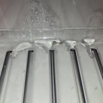 Firma Hatalı Ürünü Kabul Etmiyor Sebzelik Bölümü Sürekli Küf Yapıyor