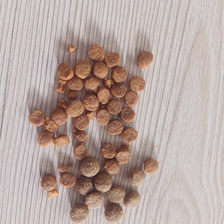 Kedilerimin Yemediği Ürünü İade Alamıyorum, Ücretim Geri Verilmiyor