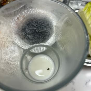 Yemekte Ve İçecekte Böcek Çıkması, Hijyen Eksikliği Ve İlgisiz Personel