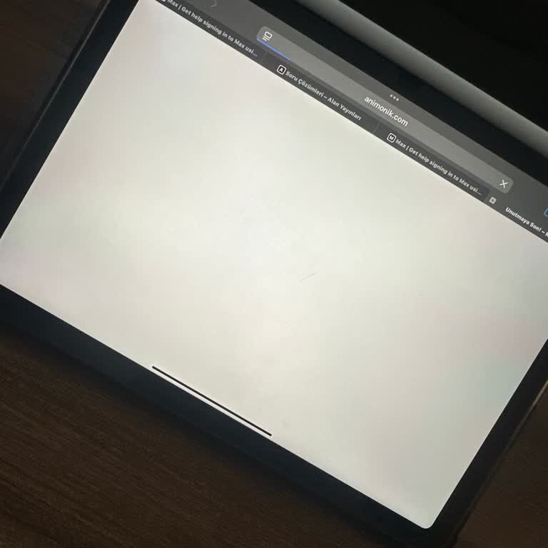 Eğitim Programına Erişemiyor Ve Destek Alamıyorum