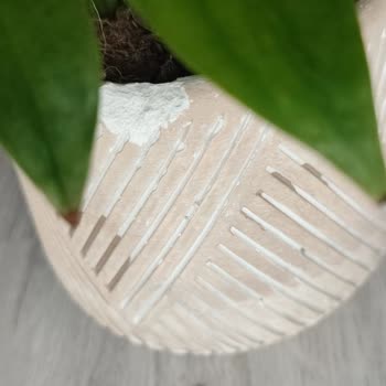 Siparişim Görselden Farklı Ve Solgun Çiçeklerle Teslim Edildi