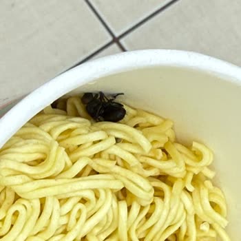 Noodle Paketinden Böcek Çıkması Nedeniyle Yaşanan Hijyen Sorunu