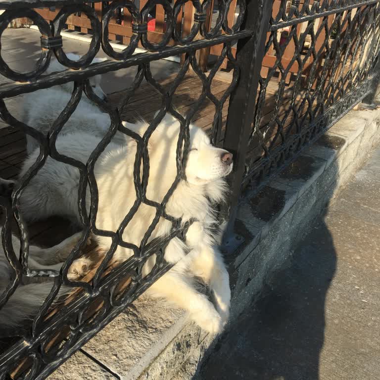 Maruderm C Vitamini Serum Cildimde Kaşıntı Ve Döküntüye Yol Açtı, İade İstiyorum