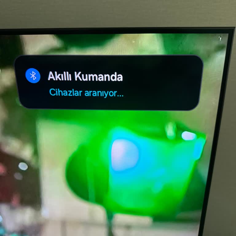 Kumanda Arızası Sonrası Yetersiz Destek Ve Çözüm Önerisiyle Mağduriyet